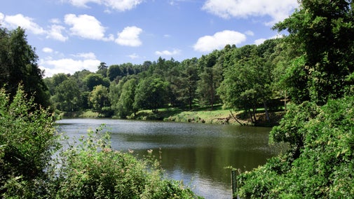 Rowes Flashe Lake at Winkworth Arboretum surrounded by lush greenery. Trees with various shades of green foliage are abundant, and the sky is partly cloudy with sunlight filtering through. The water reflects the surrounding trees and sky, creating a tranquil and picturesque scene.